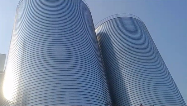 乳山2座混凝土高架卷板仓